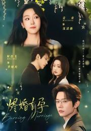 烬婚有孕